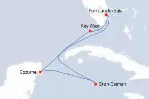 Celebrity Reflection