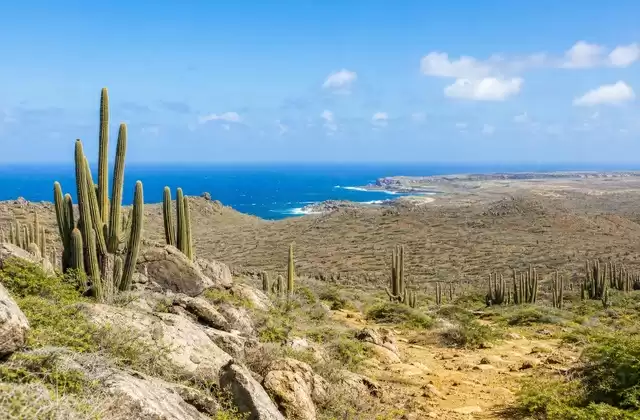 Parque Nacional Arikok