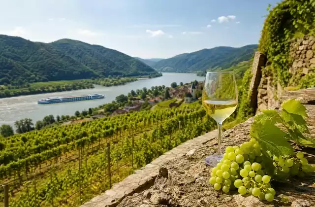 Vinos de la Wachau