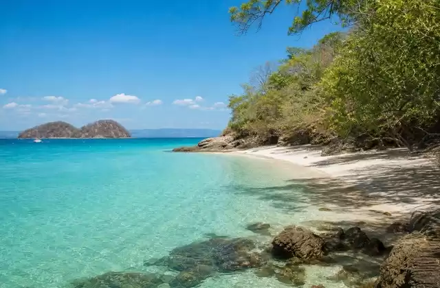 En Tortuga Island