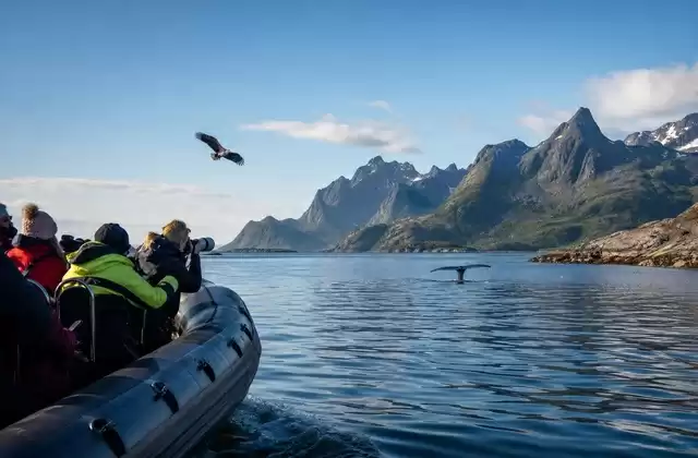 En el Archipiélago de Lofoten