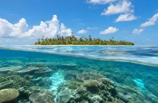 Fakarava