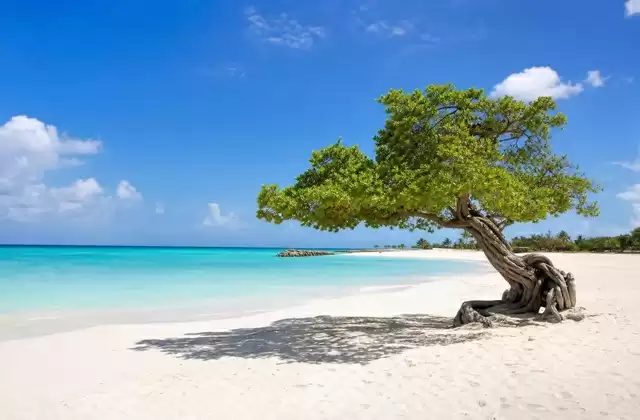 Eagle Beach