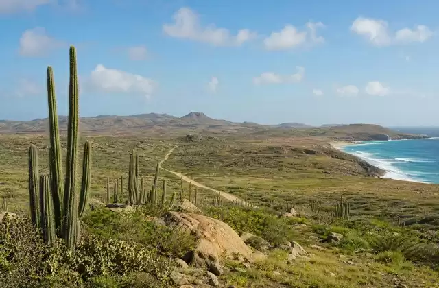 Parque Nacional Arikok