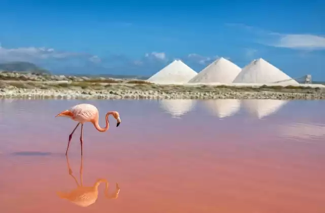 Salinas de Pekelmeer