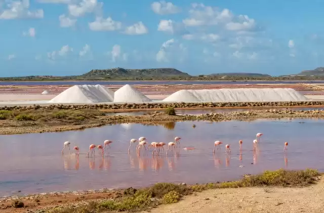 Salinas de Pekelmeer