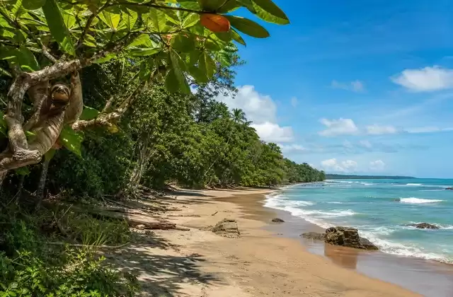 Cahuita National Park