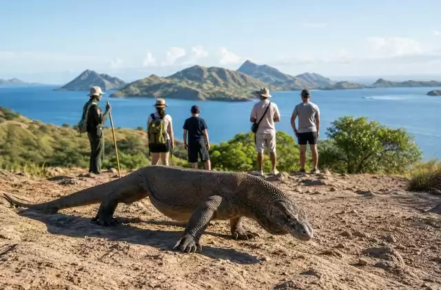 Parque Nacional de Komodo