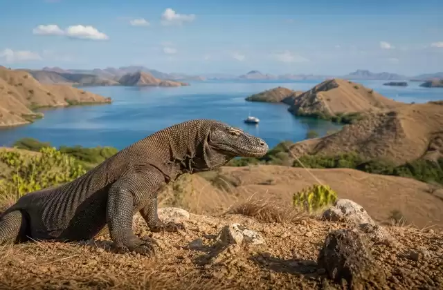Parque Nacional de Komodo