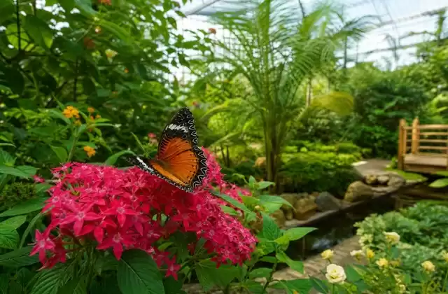 Jardín de las Mariposas
