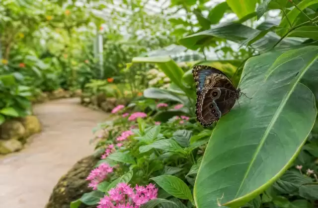 Jardín de las Mariposas