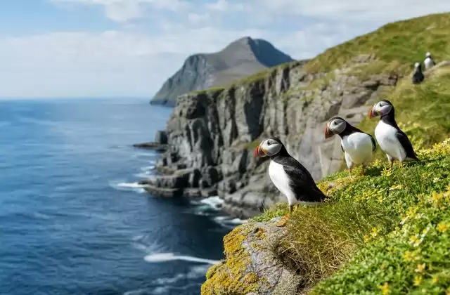 Honningsvåg (Cabo Norte)