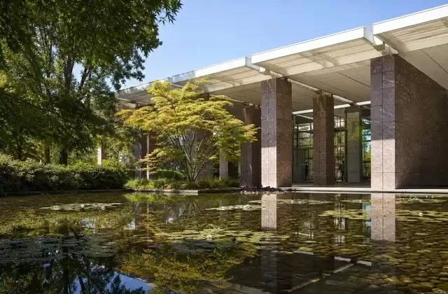 Fundación Beyeler