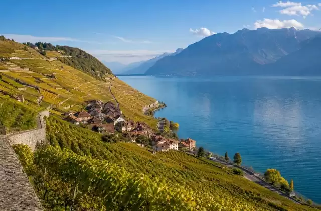 Lavaux