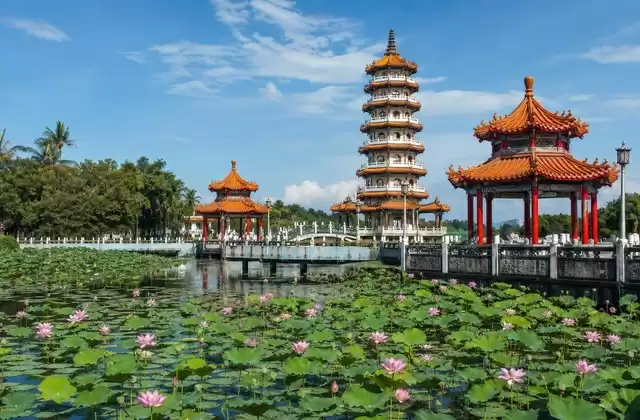 Lotus Pond